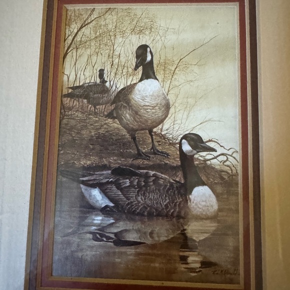 R.J. McDonald Gabby's Farm Canadian Honker Art Print 9 X 7.5 In. Double Matted - Picture 7 of 8
